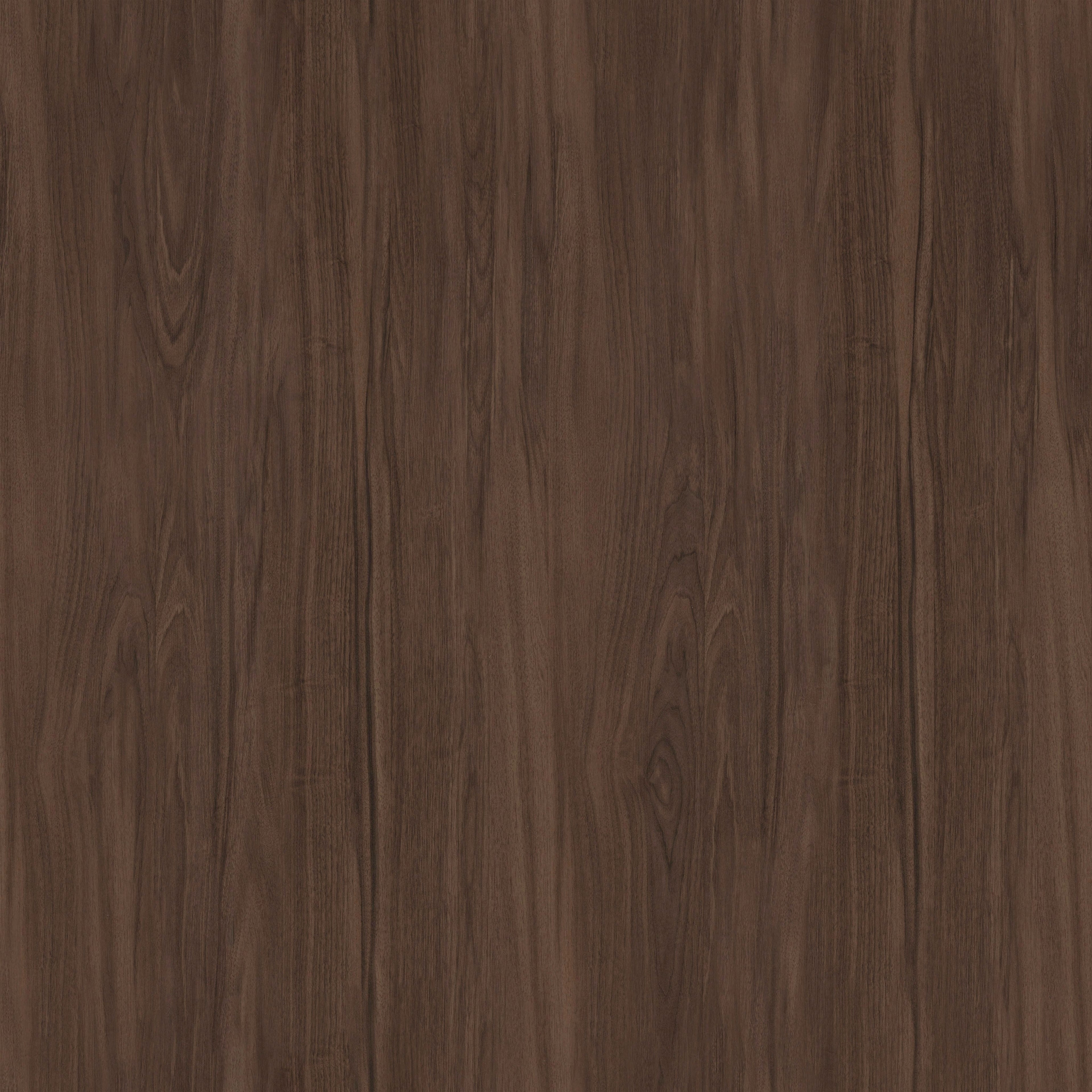 Oak Chocolate